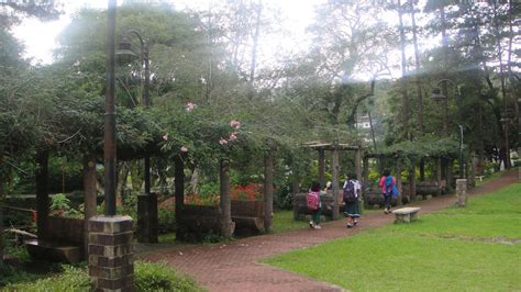 teacher camp|Baguio Teachers’ Camp: Beauty Beyond the Tales.